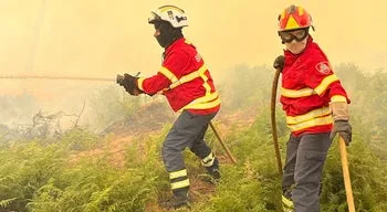 Centenas de bombeiros combatem incêndio em Proença-A-Nova