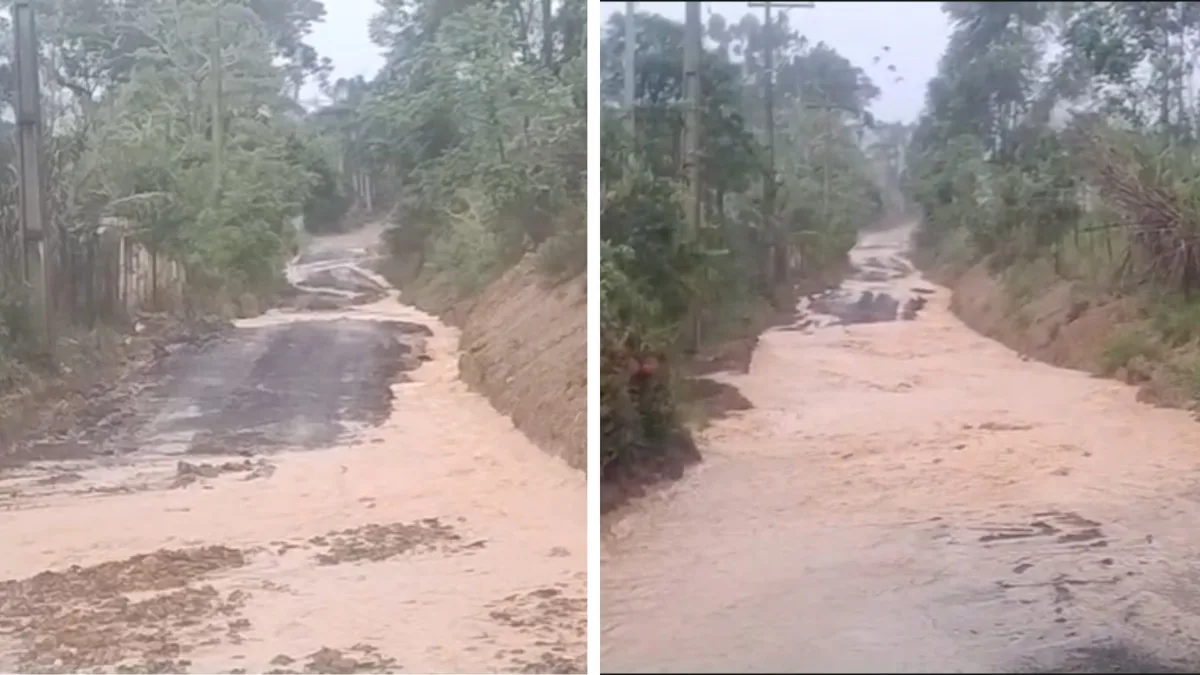 Chuva forte faz Rio Paranapanema subir e prefeitura interdita acesso às margens em parques de Piraju