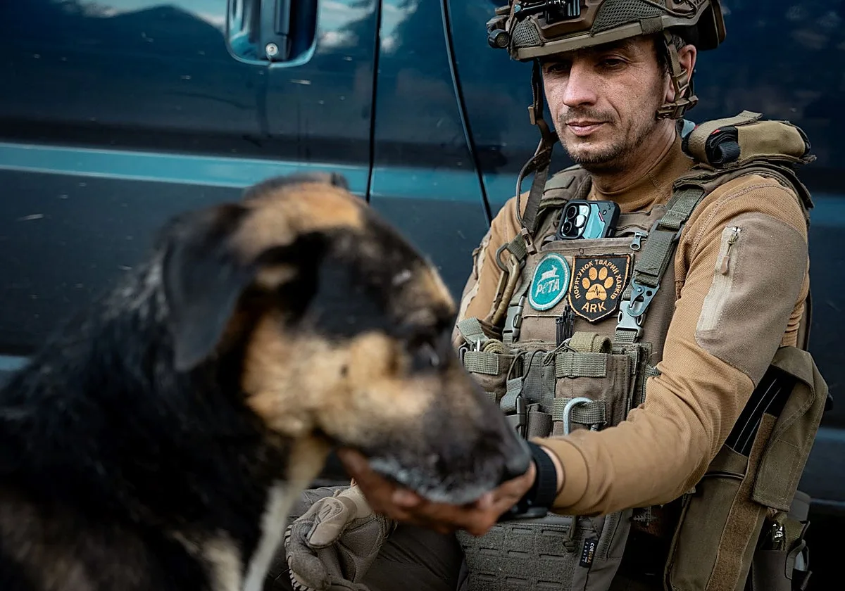 Salvando a los perros de la guerra de Ucrania