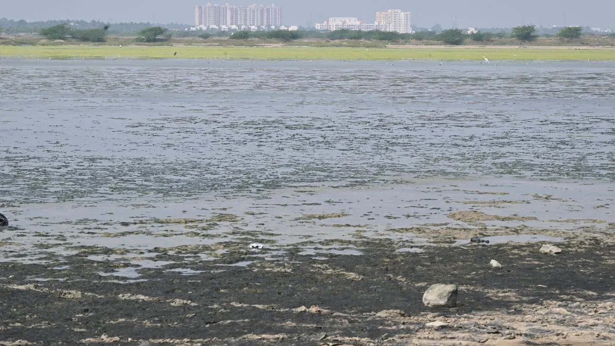 South Chennai residents oppose proposed Mamallan reservoir project