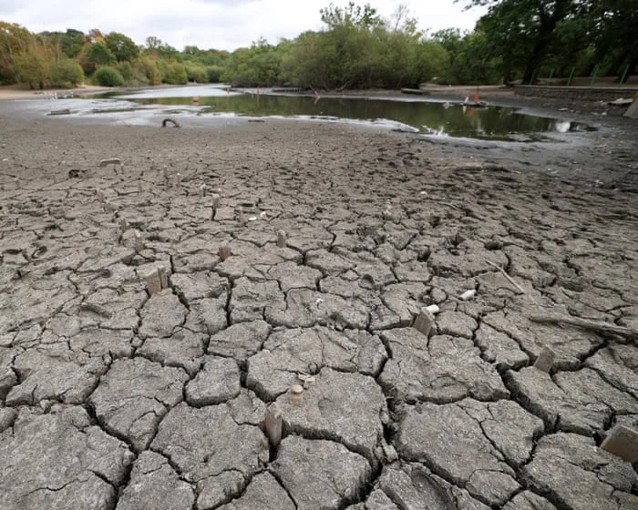 It’s finally raining. Will it be enough to end the drought? – podcast