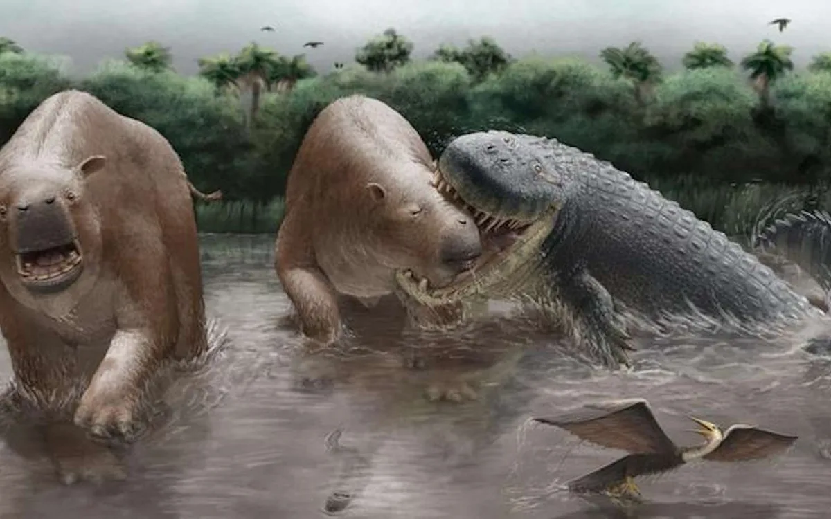 « Il y avait tellement de proies disponibles » : ce crocodilien géant dominait ce monde perdu il y a 10 millions d’années