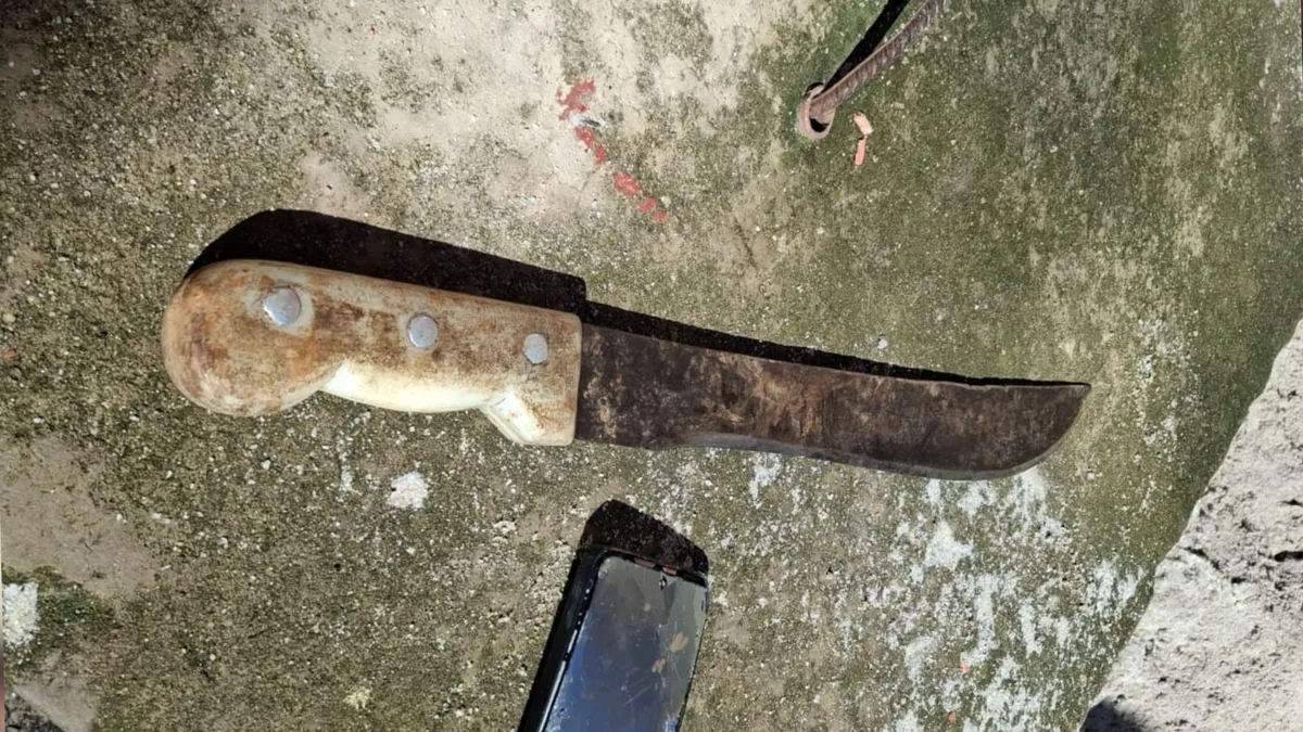 Menina de 6 anos salva mãe de tentativa de feminicídio em Cariacica