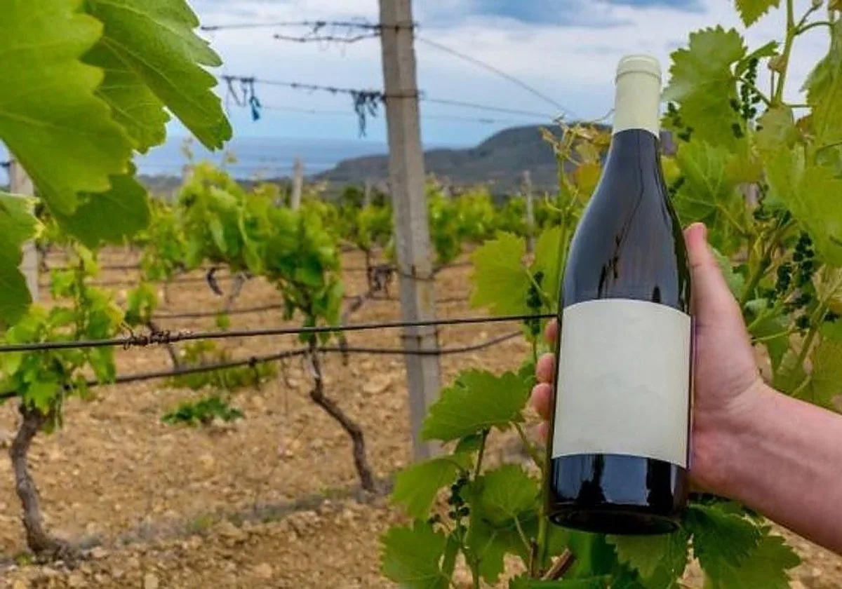 Castilla-La Mancha celebra que Europa descarte etiquetar el vino como nocivo