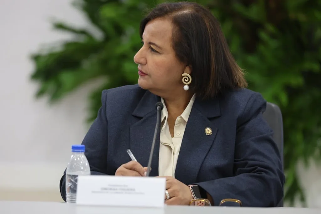 Dinorah Figuera: En septiembre se discutirán garantías políticas y civiles en la mesa