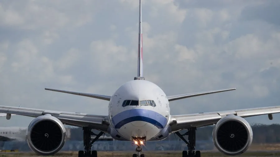 Mücke reiste wohl im Flugzeug: Bislang keine weiteren Malaria-Fälle in Frankfurt