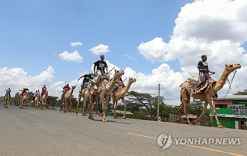 케냐 북부서 관광객 등 7명 탄 헬기 추락…생존자 없는 듯