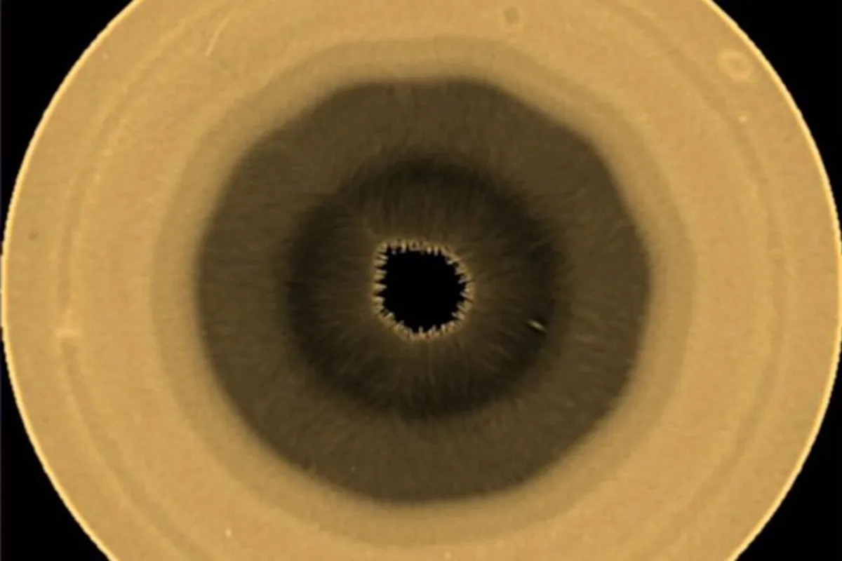 A Giant Hexagon Has Been Spinning at Saturn’s North Pole for Decades. Now, Scientists Found Its Twin