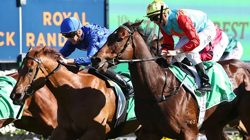 ‘They shoot from the hip before they digest it’: Purton defends Everest ride