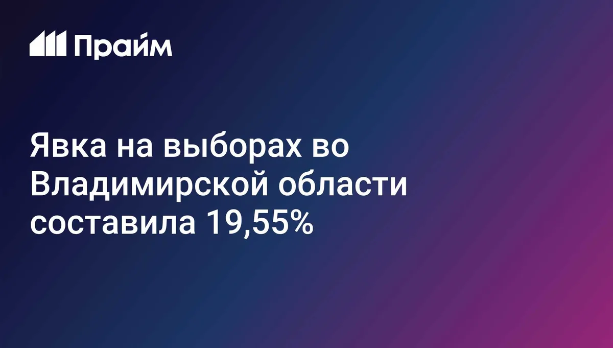 Явка на выборах во Владимирской области составила 19,55%