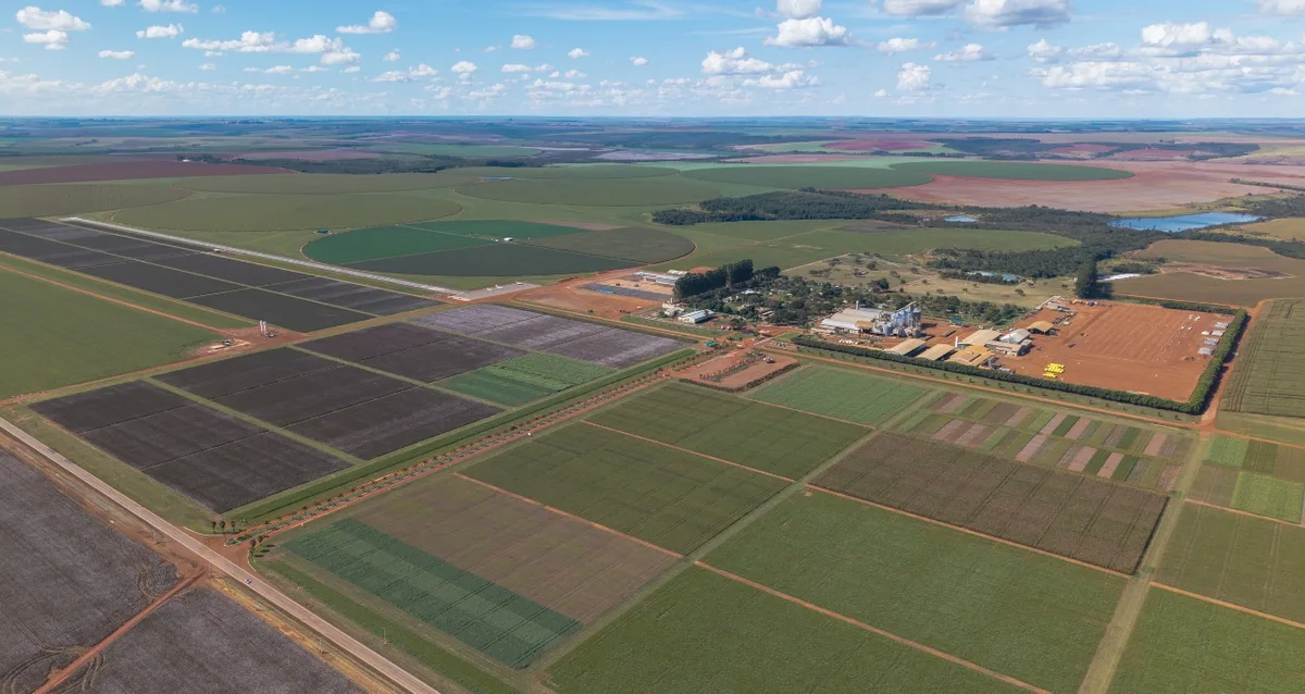 SLC Agrícola (SLCE3): lucro dispara 75% no 2T26, para R$ 245 milhões