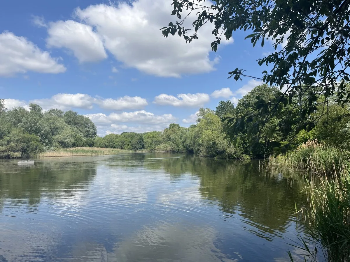 Police launch probe as human bones ‘unearthed by wildfires’ at west London beauty spot