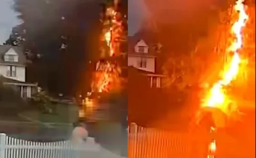 VIDEO: Hombre sobrevive a un rayo en Estados Unidos; tras impacto se levanta como si nada para pedir ayuda