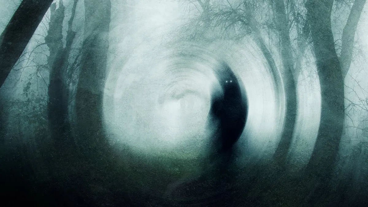 Rätselhafte Psychosen: Die Schizophrenie, die keine war
