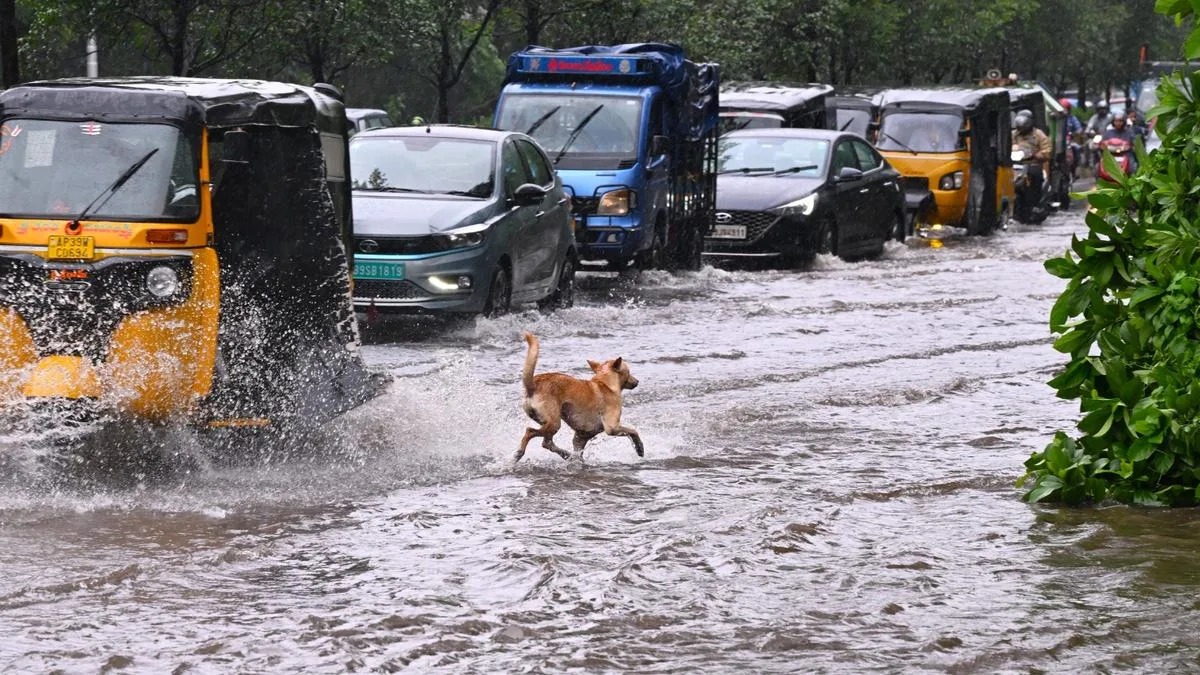 Two electrocuted, Visakhapatnam waterlogged as deep depression crosses Andhra coast after two days of rain