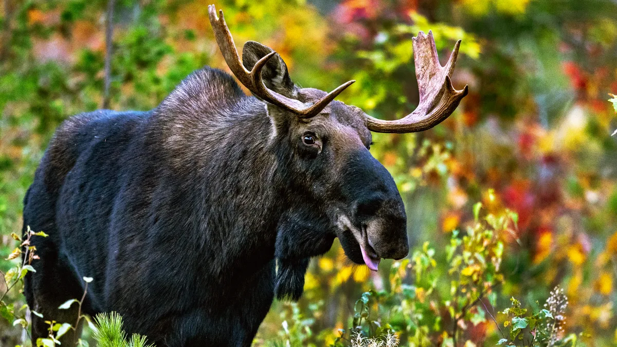 Photos: Fall Is in the Air