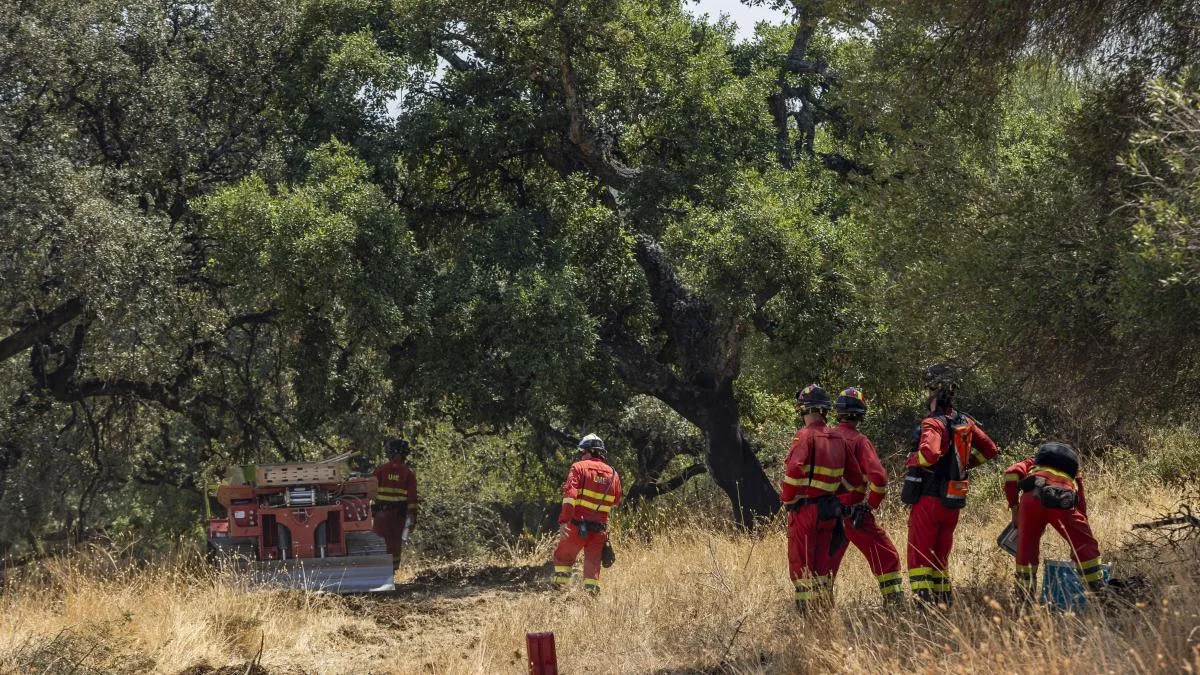 Estabilizado el incendio de Niebla: las 417 personas evacuadas pueden volver a casa
