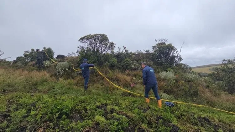 Cnsc lanzó convocatoria para 1.700 vacantes en 32 entidades ambientales: conozca las corporaciones y cómo postularse