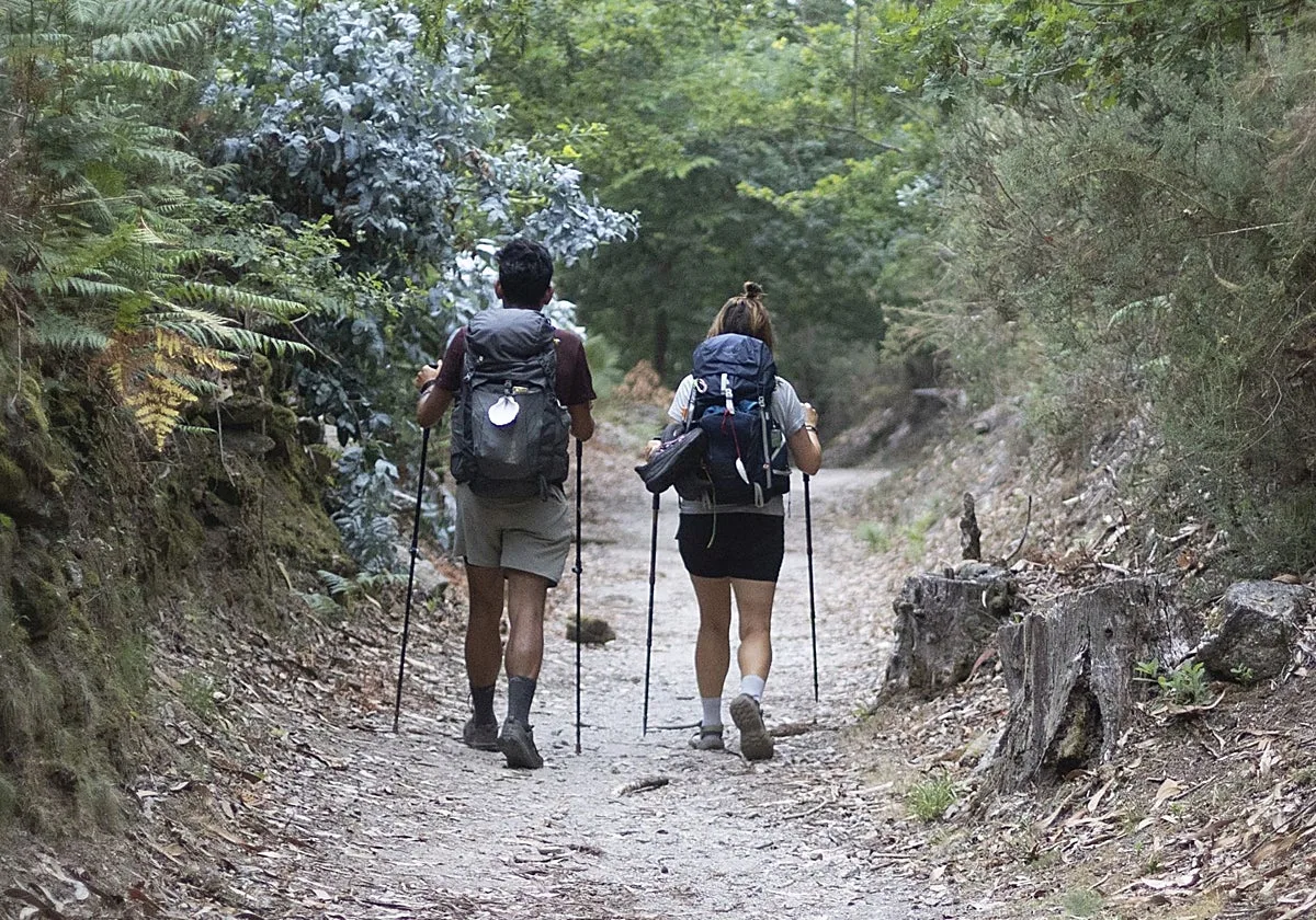 El Camino de Santiago supera los 345.000 peregrinos en la recta final del verano