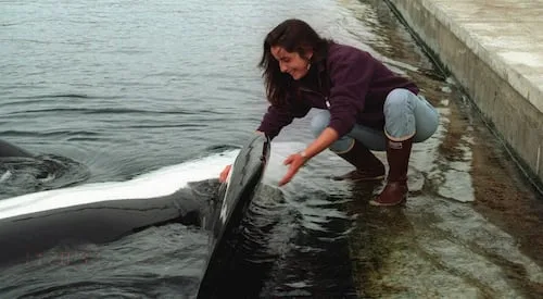 Netflix contará la historia de Keiko, la orca de “Liberen a Willy” que vivió en México