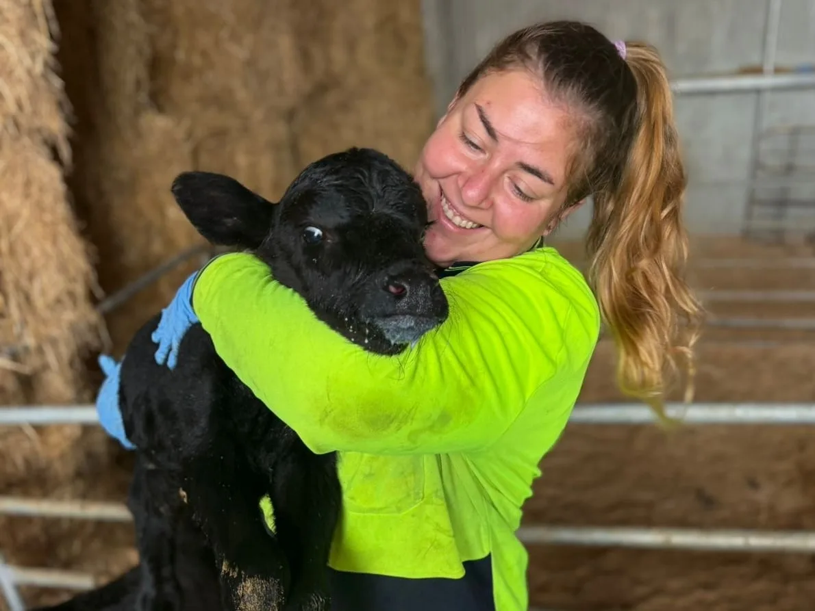“No sabía distinguir un pollo”: la santafesina que pasó de atender un kiosco a ordeñar 700 vacas en Australia