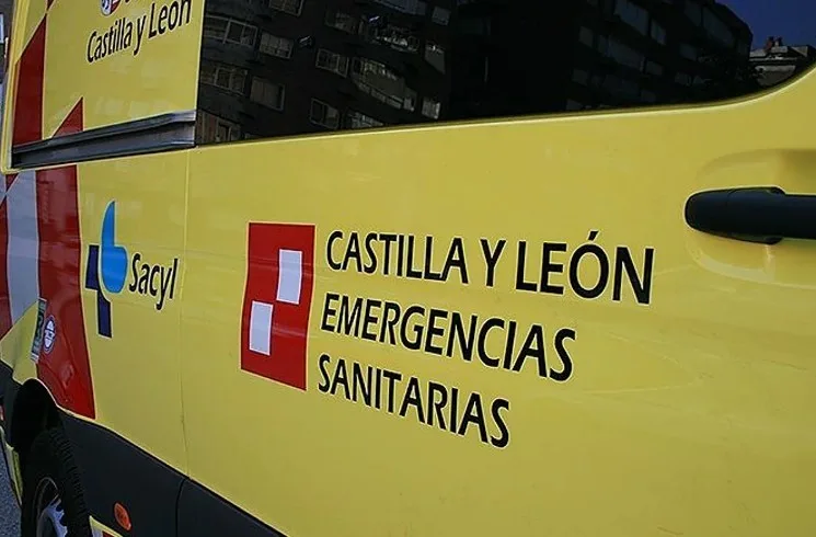 Muere un trabajador en un polígono de Valladolid tras caerle un pino encima