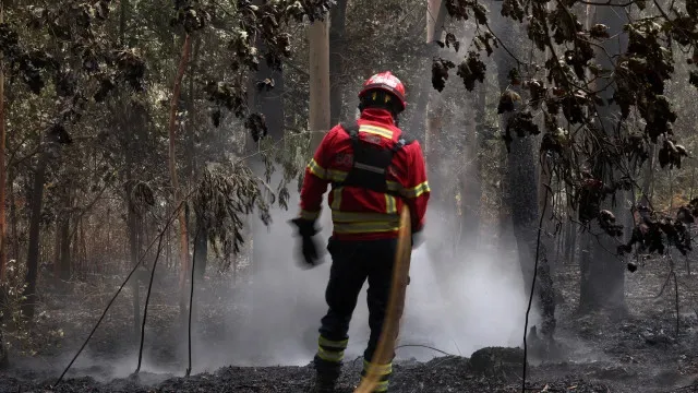 Incêndio em Penacova dado como dominado