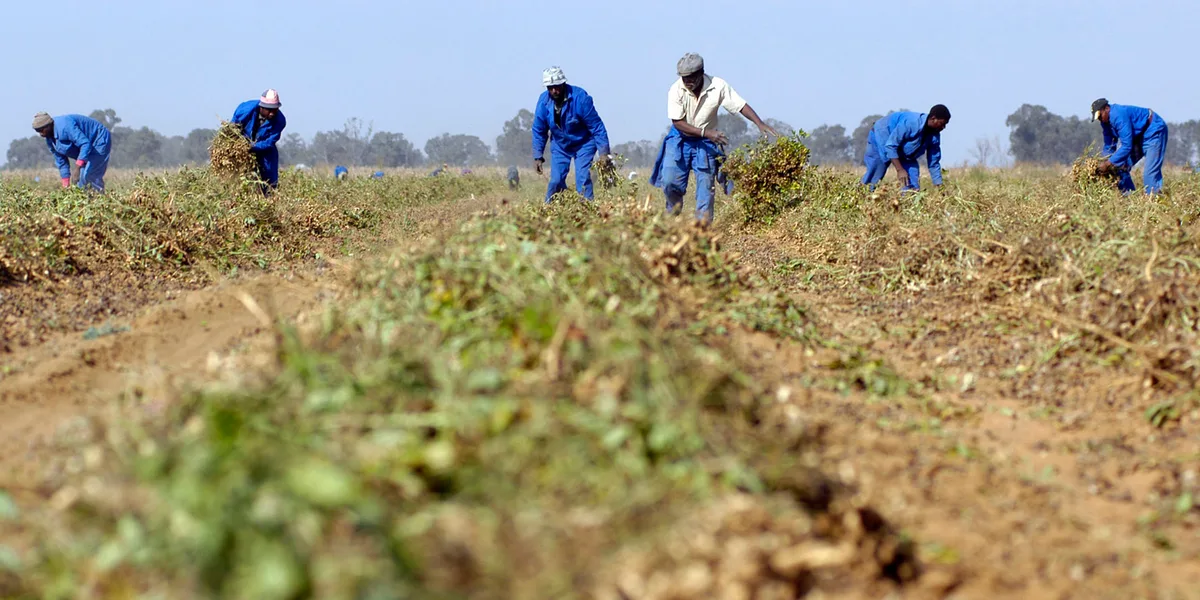 PRICE WATCH: SA July food inflation hits 16-year low, slowing CPI trajectory