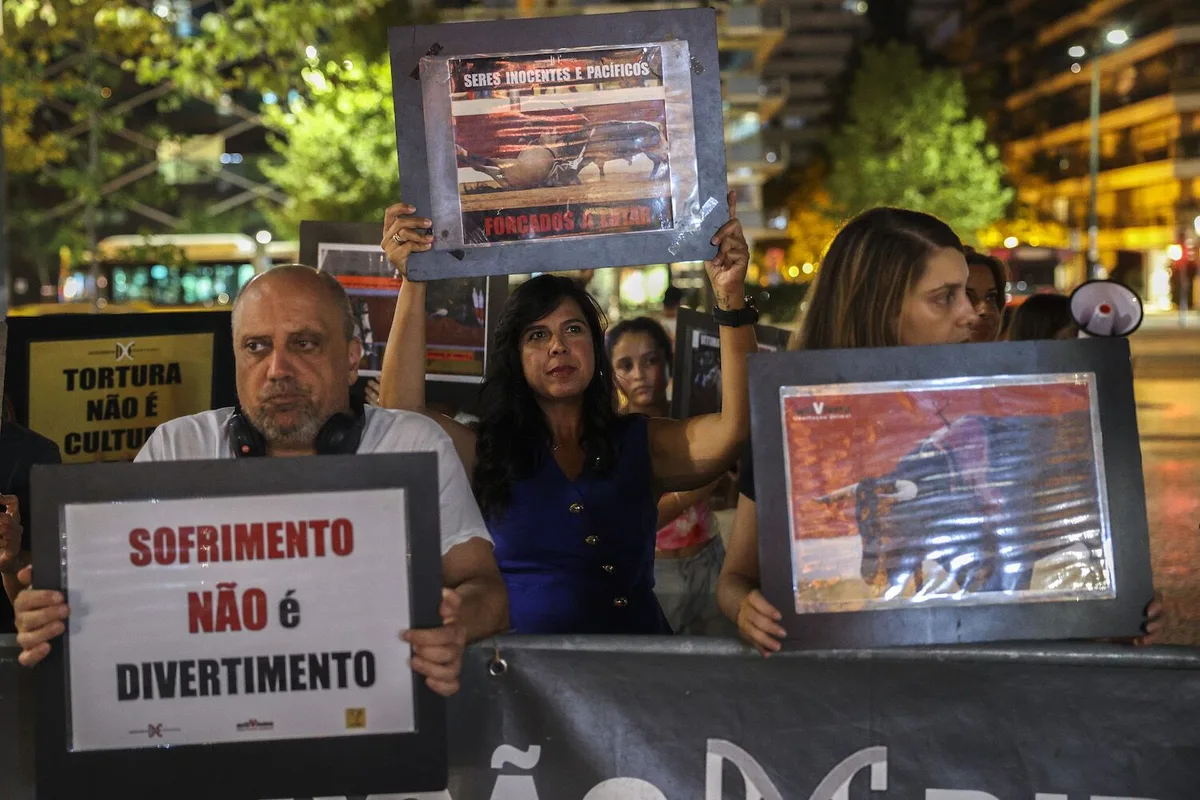PAN não tem órgãos nacionais: a estrutura que elegeu é “estatutariamente incompetente”