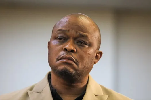 WATCH LIVE | Businessman Brown Mogotsi back in court