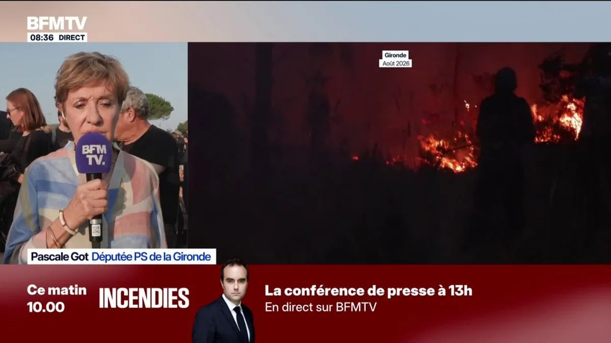 Incendie en Gironde: la députée PS Pascale Got demande un "plan national de stratégie de prévention des risques"