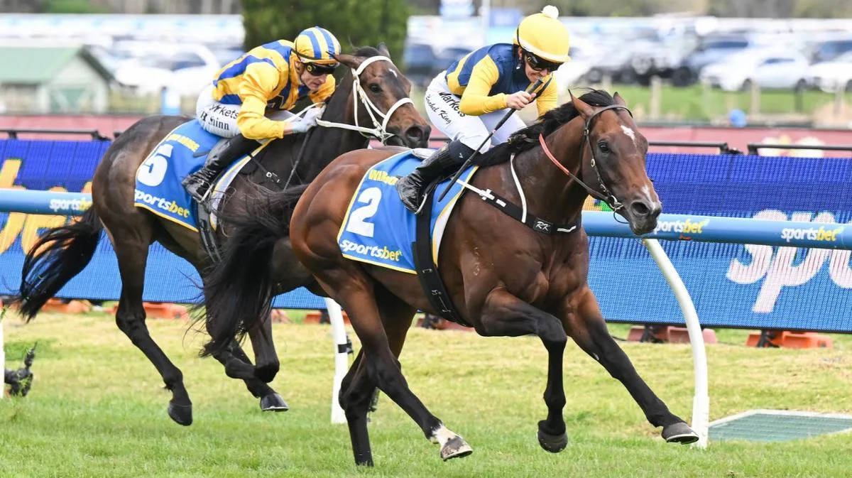 Warwoven wins Caulfield Guineas classic ahead of Blind Raise