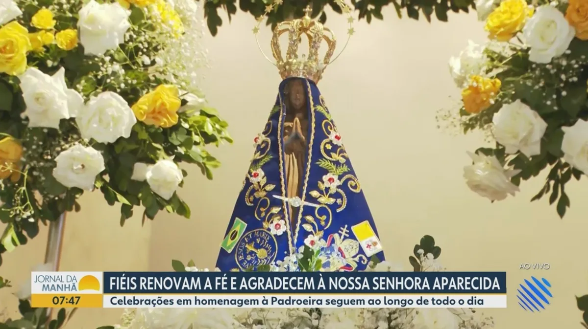 Vídeos do g1 e TV Bahia - segunda-feira, 12 de outubro de 2026