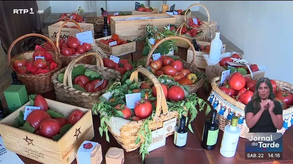 Festa do Tomate Coração de Boi no Douro