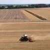 Seca e calor prolongados na Europa cortam colheitas de verão até 14% e ameaçam reservas