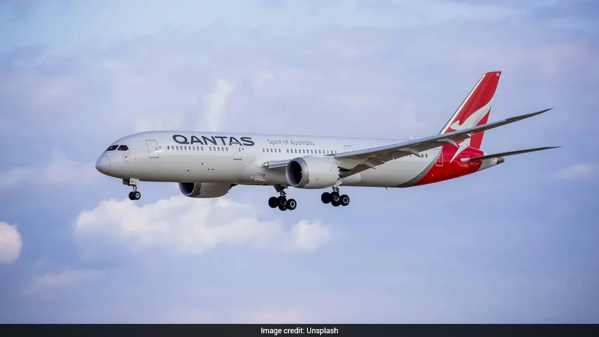 Bedbug Outbreak Grounds Qantas Flight In Rome, Plane Sent For 'Deep Clean'