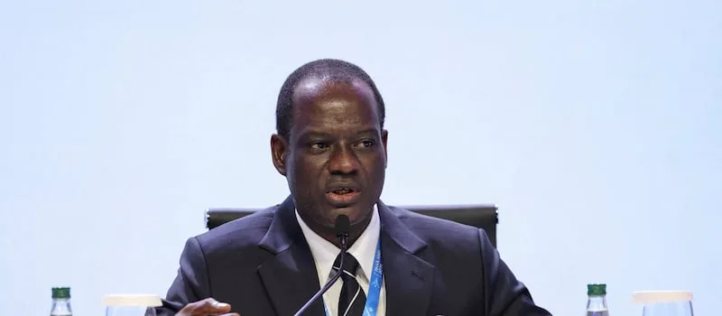 Nigerian minister says developing countries pay $500bn too much to refinance debt