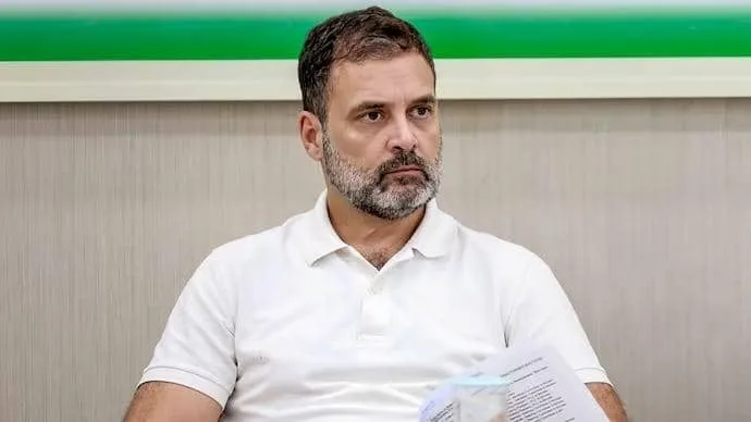 'Wait till you discover other guy': Rahul responds to Musk's 'Ambani' post