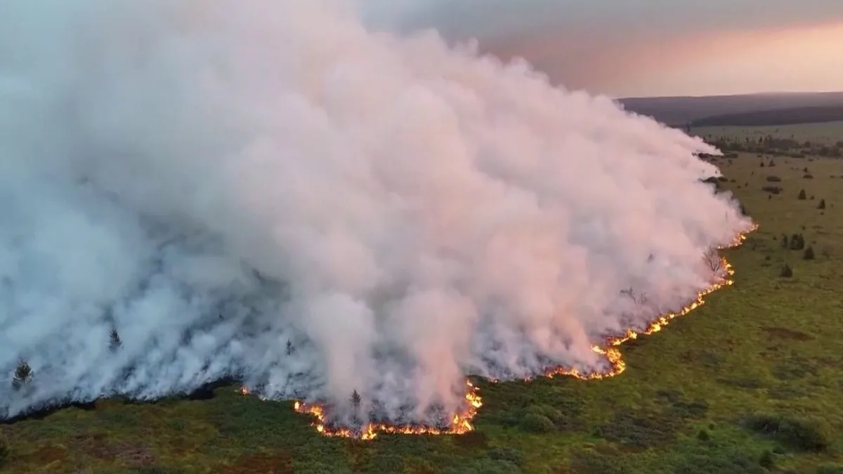 "C'est une catastrophe" : la Belgique touchée par l'un des pires incendies de son histoire