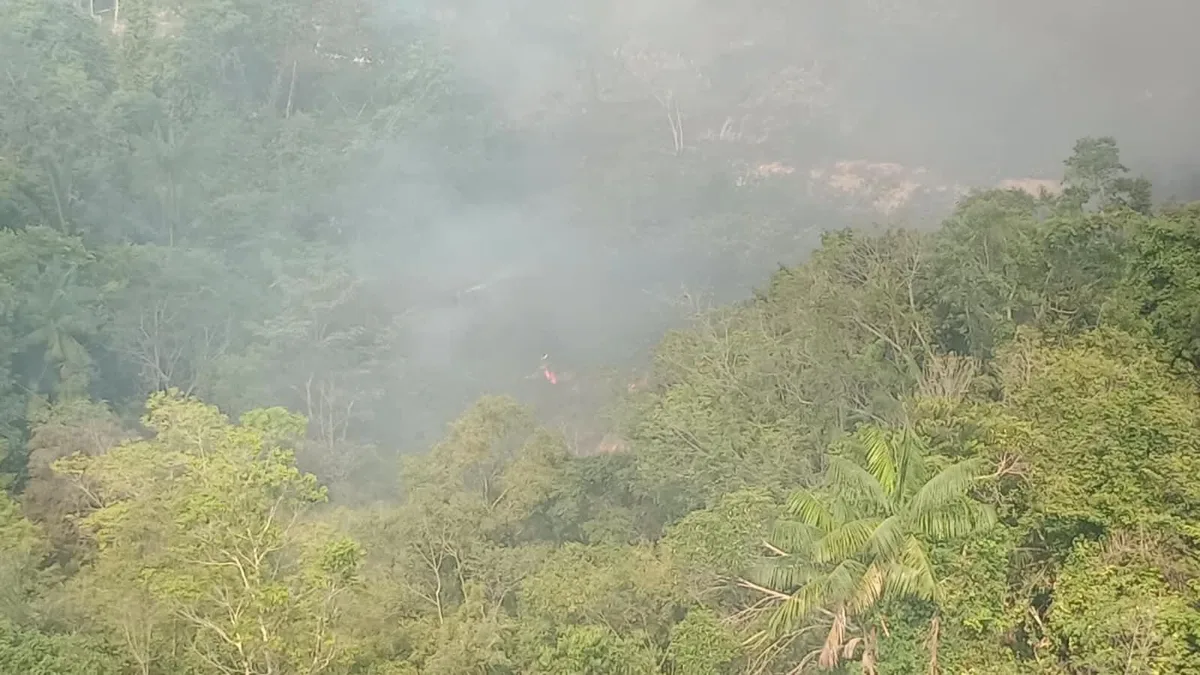 Incêndio atinge área de vegetação atrás de empresa na Zona Norte de Manaus