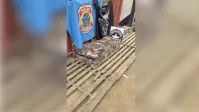Polícia apreende droga avaliada em R$ 14 milhões escondida em carga de café