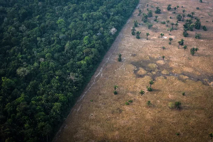 Eventos climáticos e os cinco PLs que representam o maior retrocesso ambiental no país