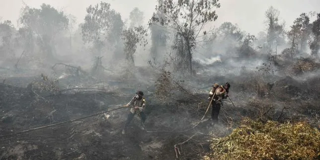 En Indonésie, les îles de Bornéo et de Sumatra en proie à des feux de tourbière gigantesques et incontrôlables
