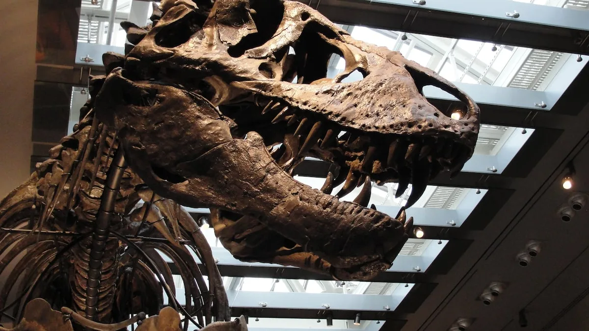 How do you take T. rex's temperature? These scientists did it