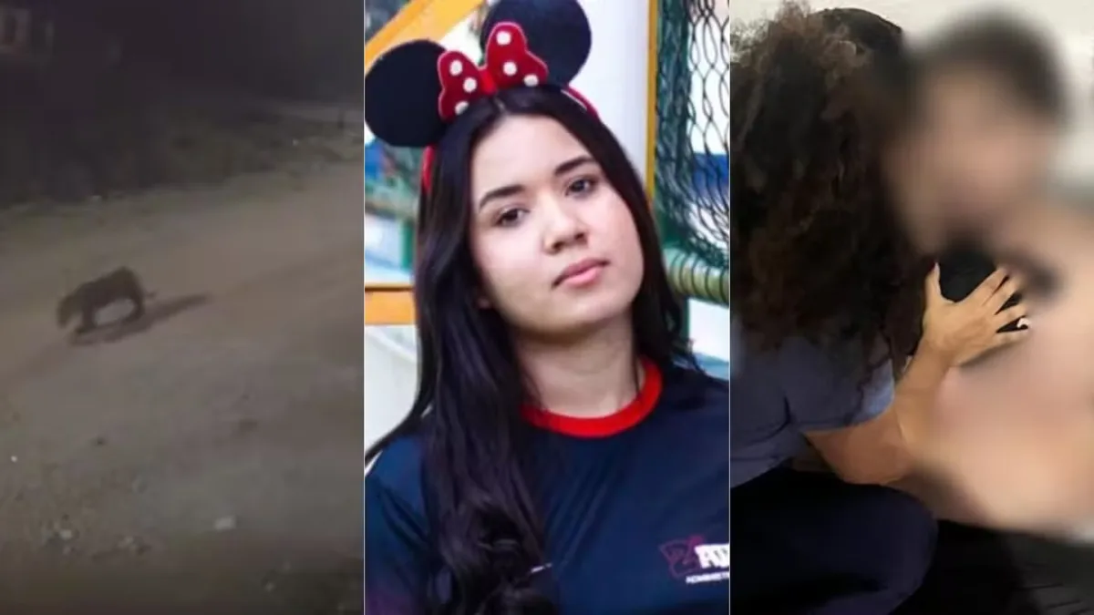 Vc viu? Jovem é baleado após sair de academia em São Luís, adolescente é morta a facadas e onça é vista circulando pelas ruas de Imperatriz