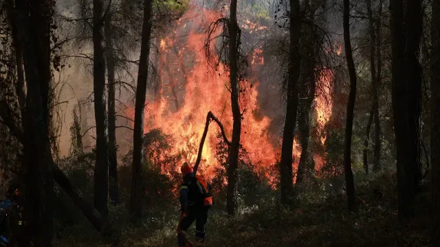 Fogo com duas frentes combatido por 170 bombeiros em Torre de Moncorvo