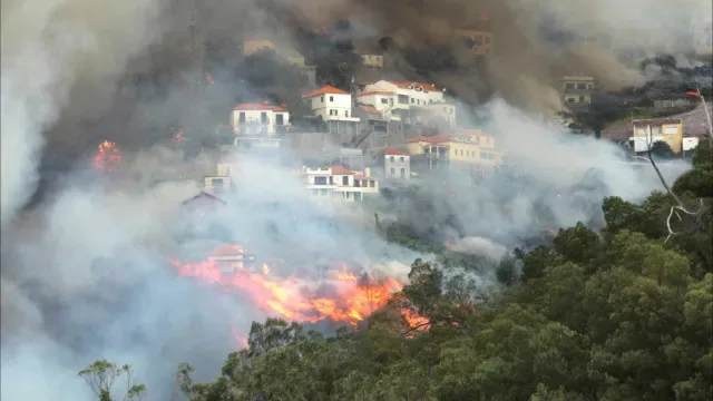 Vinte concelhos de sete distritos em perigo máximo de incêndio