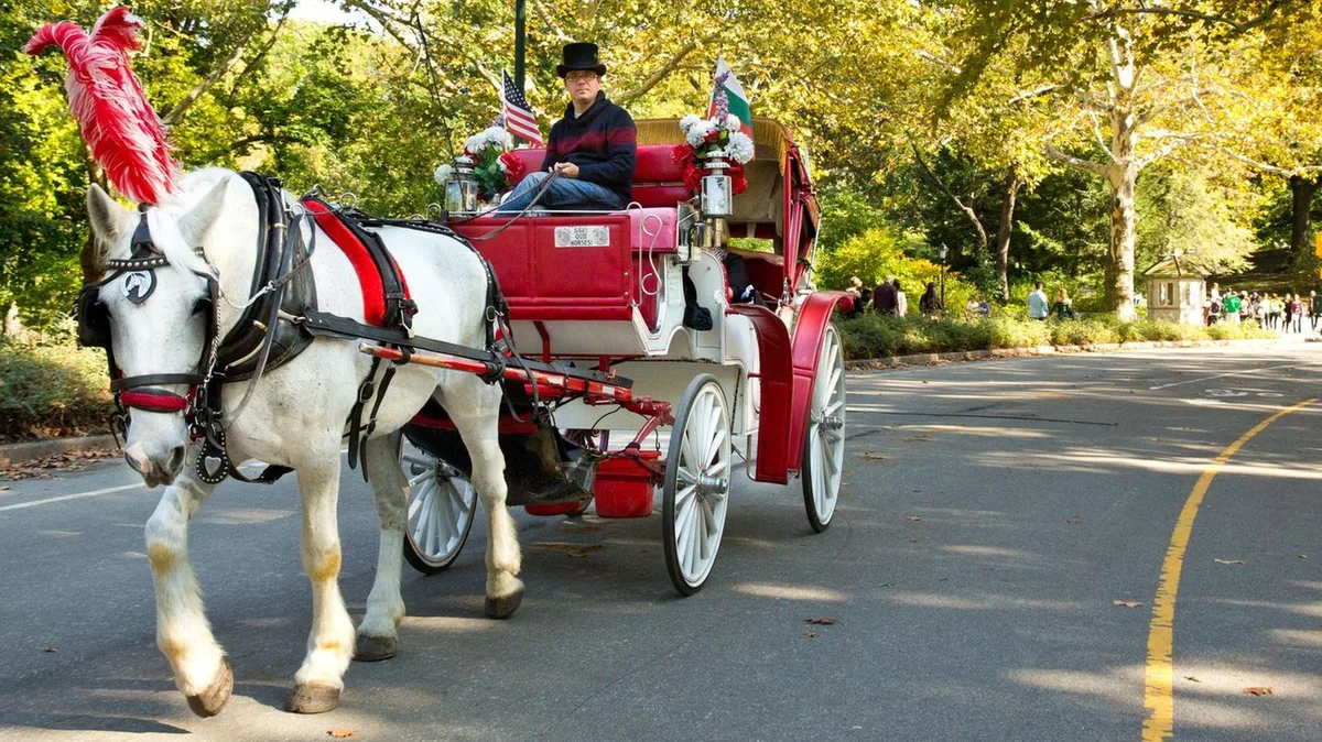 Gesetzesinitiative: New York will Kutschfahrten im Central Park verbieten