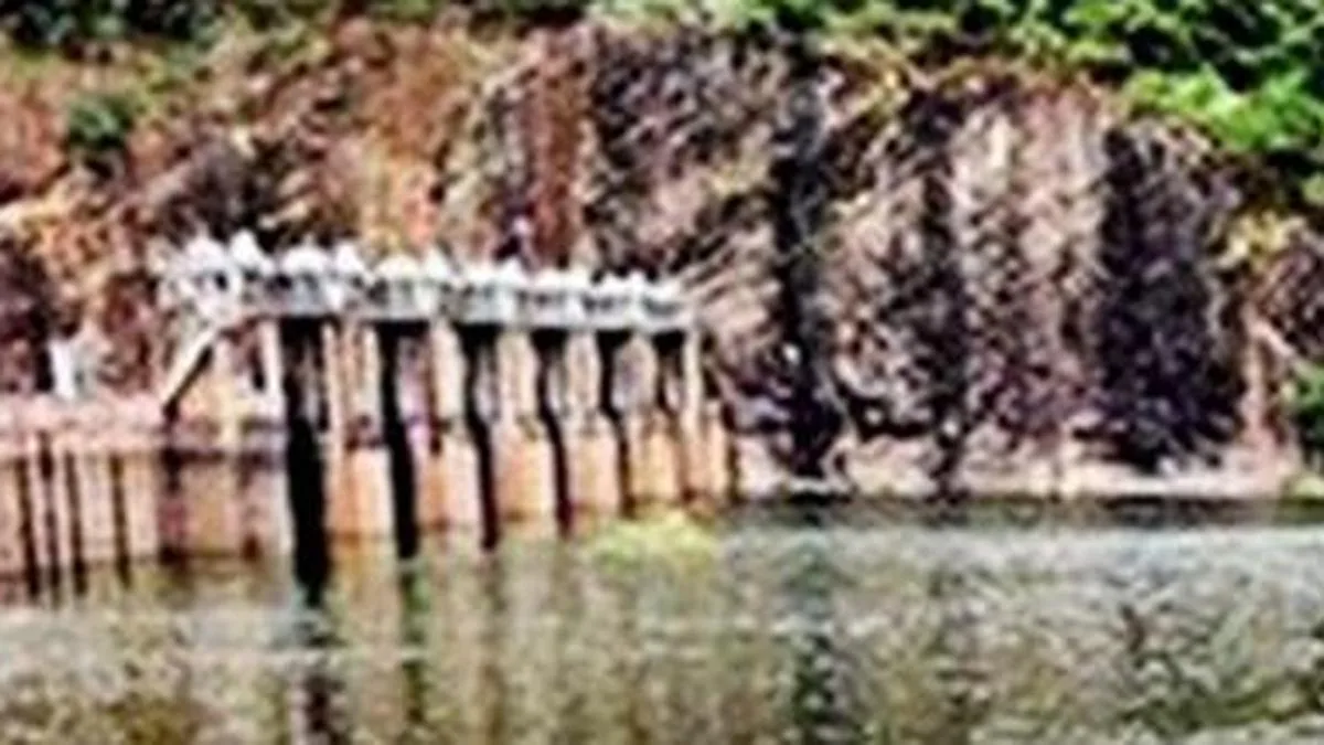 Water level in Papanasam dam stands at 49.65 feet