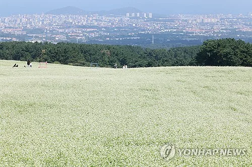 전국 맑고 일교차 최대 15도↑ 전형적 가을날…서쪽 오존·건조